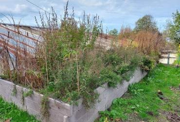 Jardins_Pluie_Pantin©Arp-Astrance_2022 (1).jpg