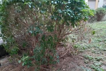 Latouche_Batigere-idf©Arp-Astrance_2023 (6).jpg