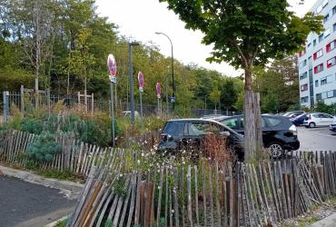 Les_Renouilleres_Batigere-idf©Arp-Astrance_2023 (2).jpeg