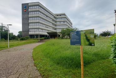 MMaStrasbourg-Urbanesens2024 (1).jpg