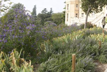 Marseille-Parc_Buzine©Agrostis_2012 (1).jpg