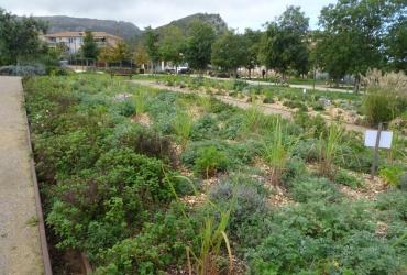 PARC DE LA JARRE MARSEILLE @BRASSICA_2024 (6).JPG