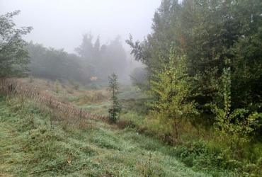 Parc_Ausone_Bordeaux-Metro©HederaVilleDurable_2023 (1).jpg