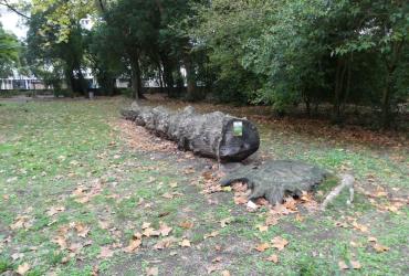 Parc_Sophie_Desmarets_Montpellier©Oreade-Breche_2020 (4).JPG