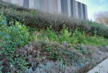 Reservoirs_Villejuif_Veolia_Eau-idf©Arp-Astrance_2023 (1).jpg