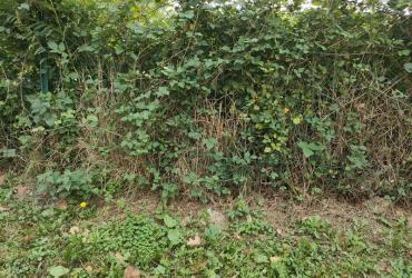 Residence_Colisee_Herri_Burua©Alticime_2022 (1).jpg