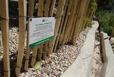 SOEURS_FRANCISCAINES_2024 (2).jpg