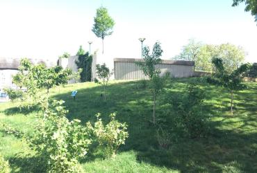 SS_Coulee_Verte_Paris©Arp-Astrance_2019 (1).JPG