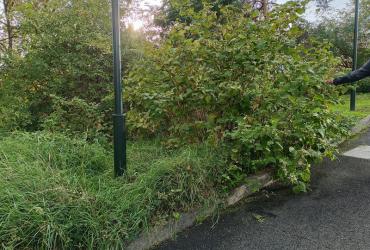 Square_Kupka_Puteaux©Arp-Astrance_2023 (11).jpg