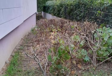 St-Martin_Batigere-idf©Arp-Astrance_2023 (1).jpg