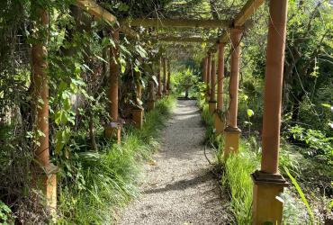 Val Rahmeh_MNHN_GIROD 2024 1.JPG