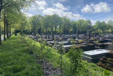 CIMETIERE DE BAGNEUX, VILLE DE PARIS @ARP ASTRANCE_2025 (14).JPEG
