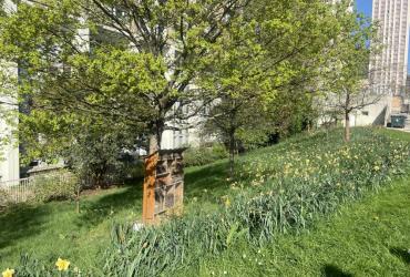 SS BAUDRICOURT, VILLE DE PARIS @ARP ASTRANCE_2025 (12).JPEG