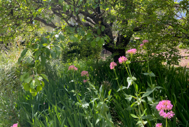 Domaine Des Colettes, Musée Renoir, Cagnes-sur-Mer / crédit : Alticime
