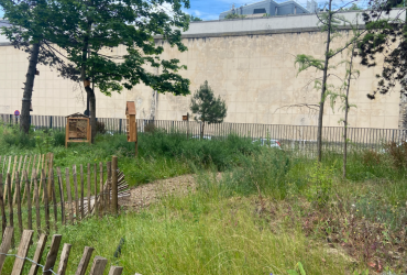 Hôpital Saint Anne 2025 Arp Astrance 