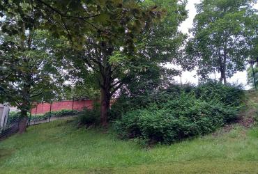 PLATEAU MAISON ALFORT 