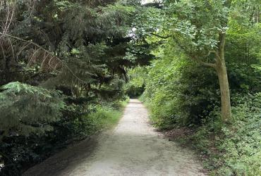 PARC DE BRIMBORION