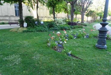 JARDIN DE LA MAIRIE 2025