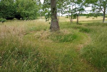 PARC CIMETIERE RIVE DROITE 2025