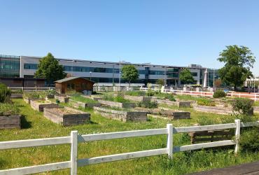 PARC ORLY RUNGIS 2025
