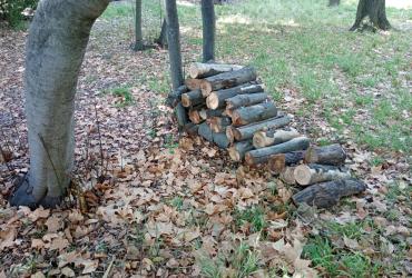 Zone refuges, bûches empilées
