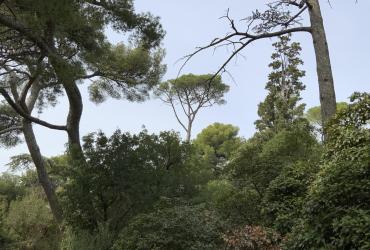 PARC DE FONT OBSCURE 2025