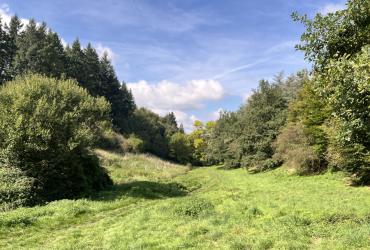 PARC DE PINELON ALTICIME 2025