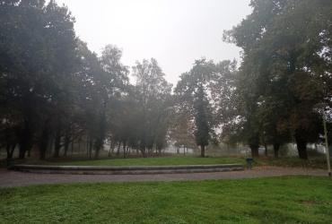 Vue générale du site