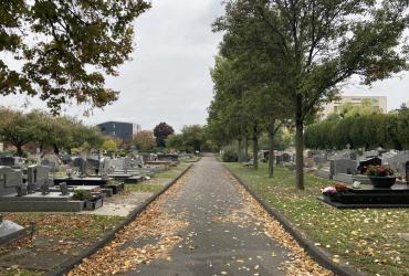 Allée du cimetière