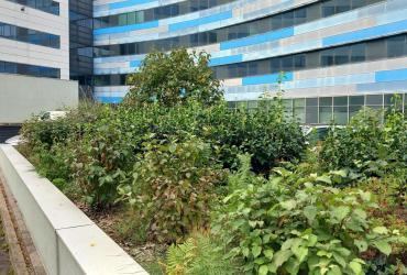 Espace de jardinière