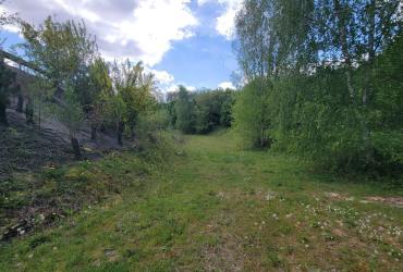 Prairie présente sur le site