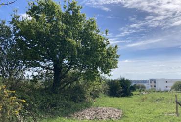 Vue sur mer et espace de pelouse arborée
