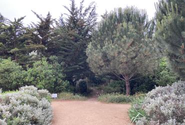 Cheminement stabilisé et jardin arboré et arbustif