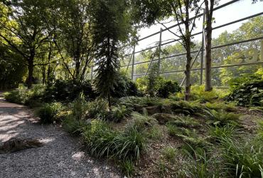 musee-du-quai-branly-jacques-chirac-arp-astrance-2026-6