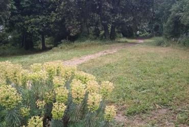 Entrée parc